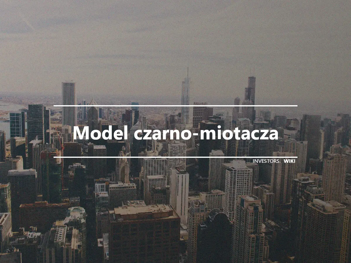 Model czarno-miotacza