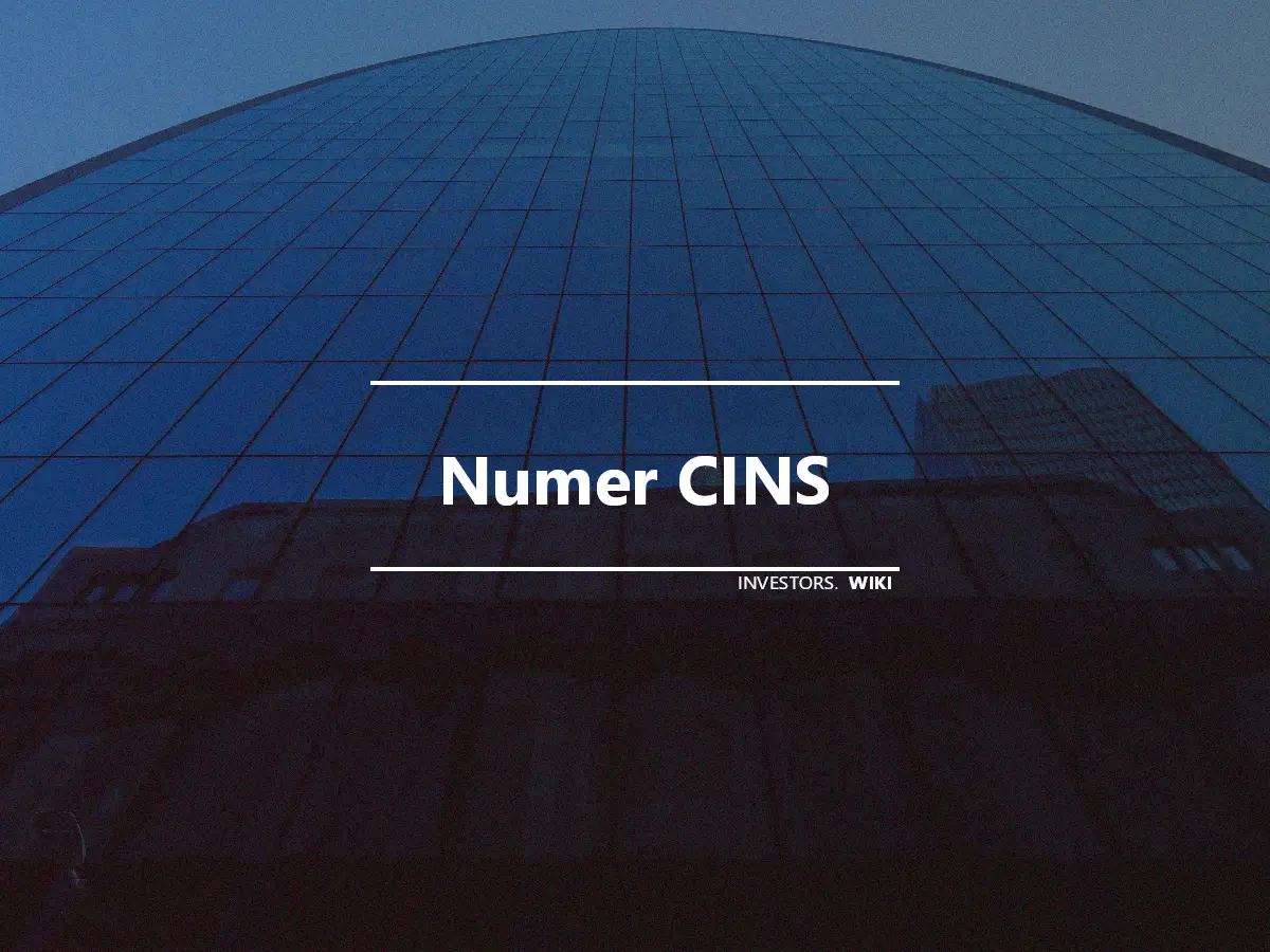 Numer CINS