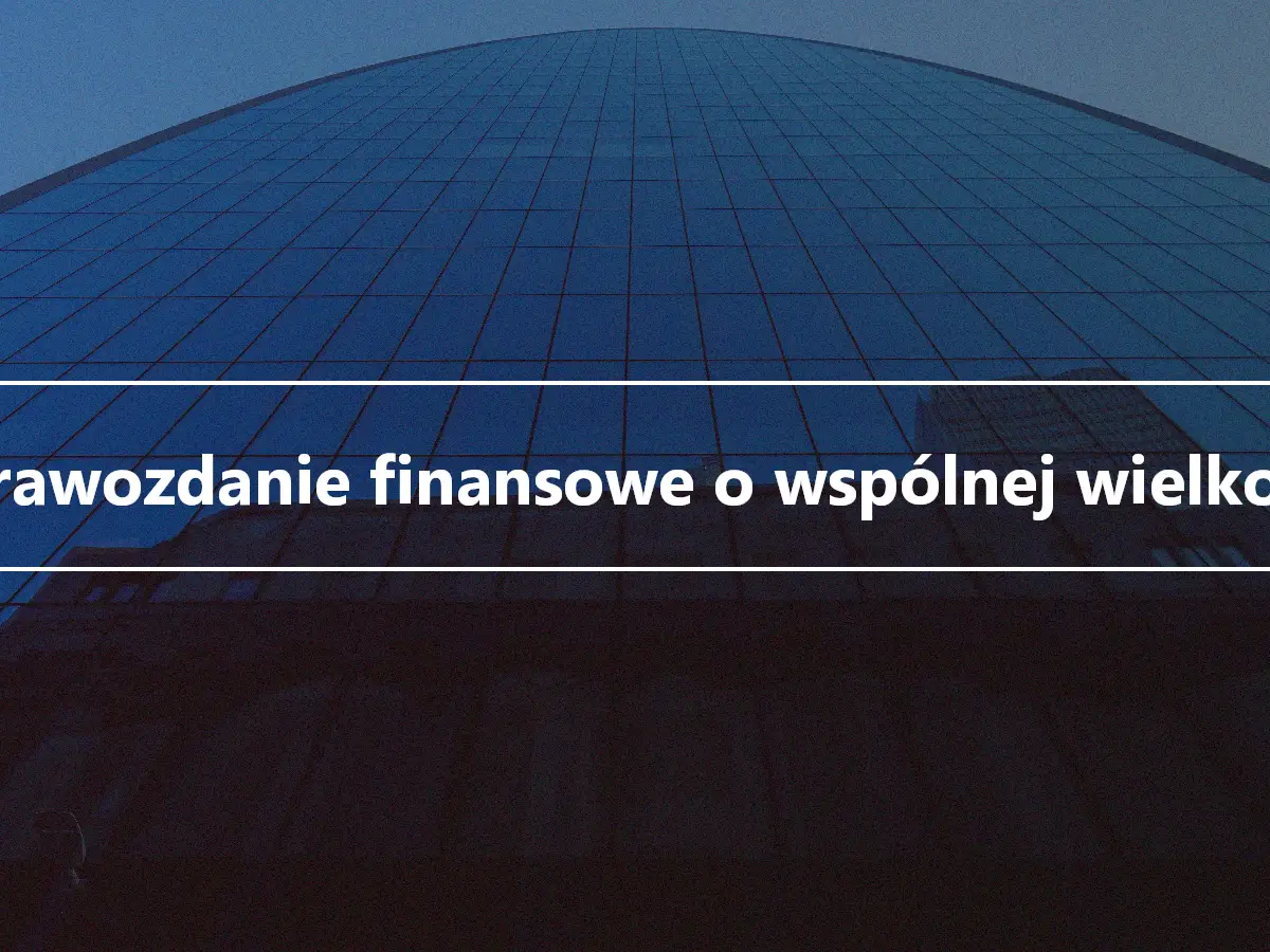 Sprawozdanie finansowe o wspólnej wielkości