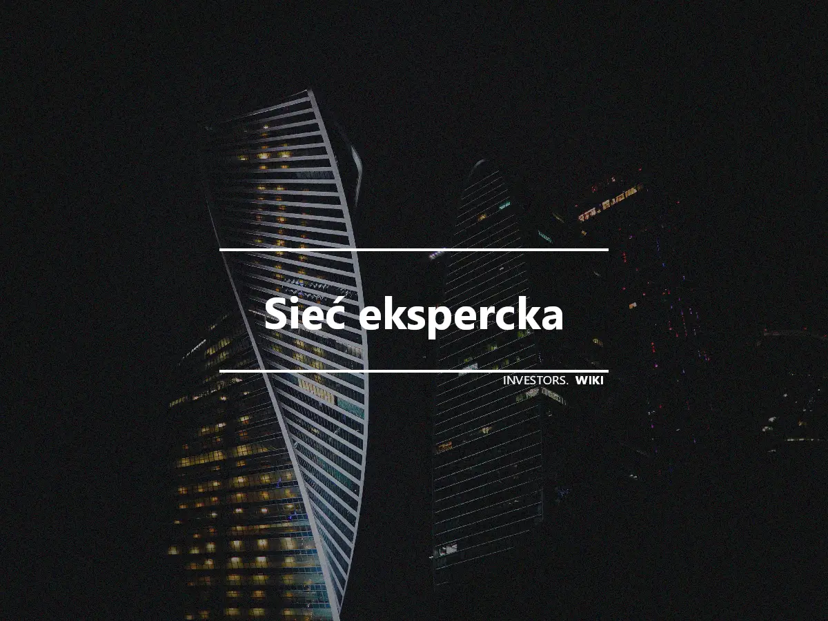 Sieć ekspercka