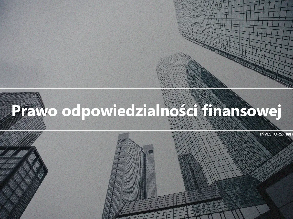 Prawo odpowiedzialności finansowej