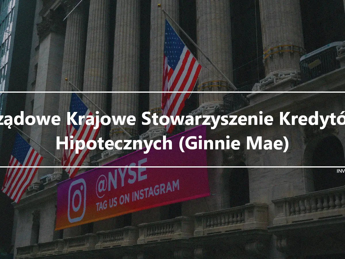 Rządowe Krajowe Stowarzyszenie Kredytów Hipotecznych (Ginnie Mae)