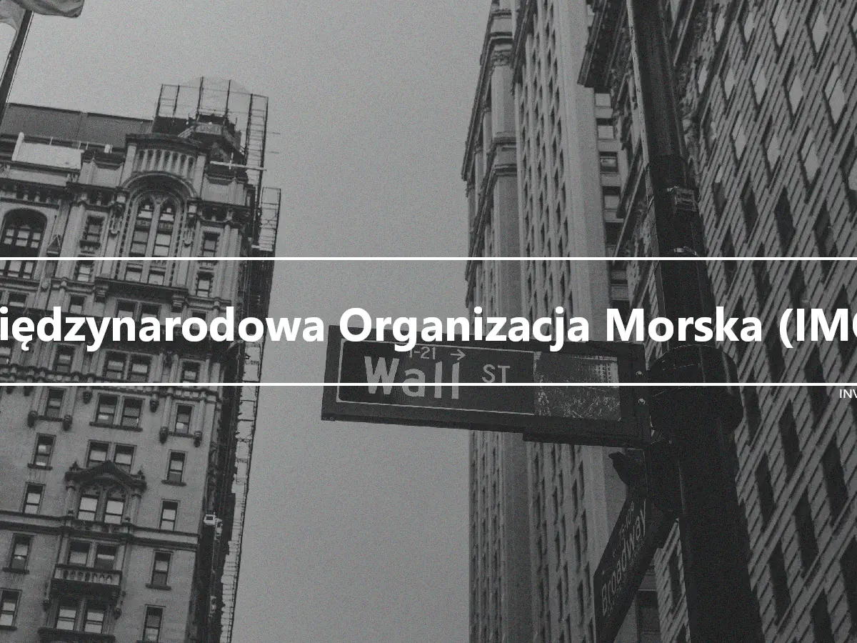 Międzynarodowa Organizacja Morska (IMO)