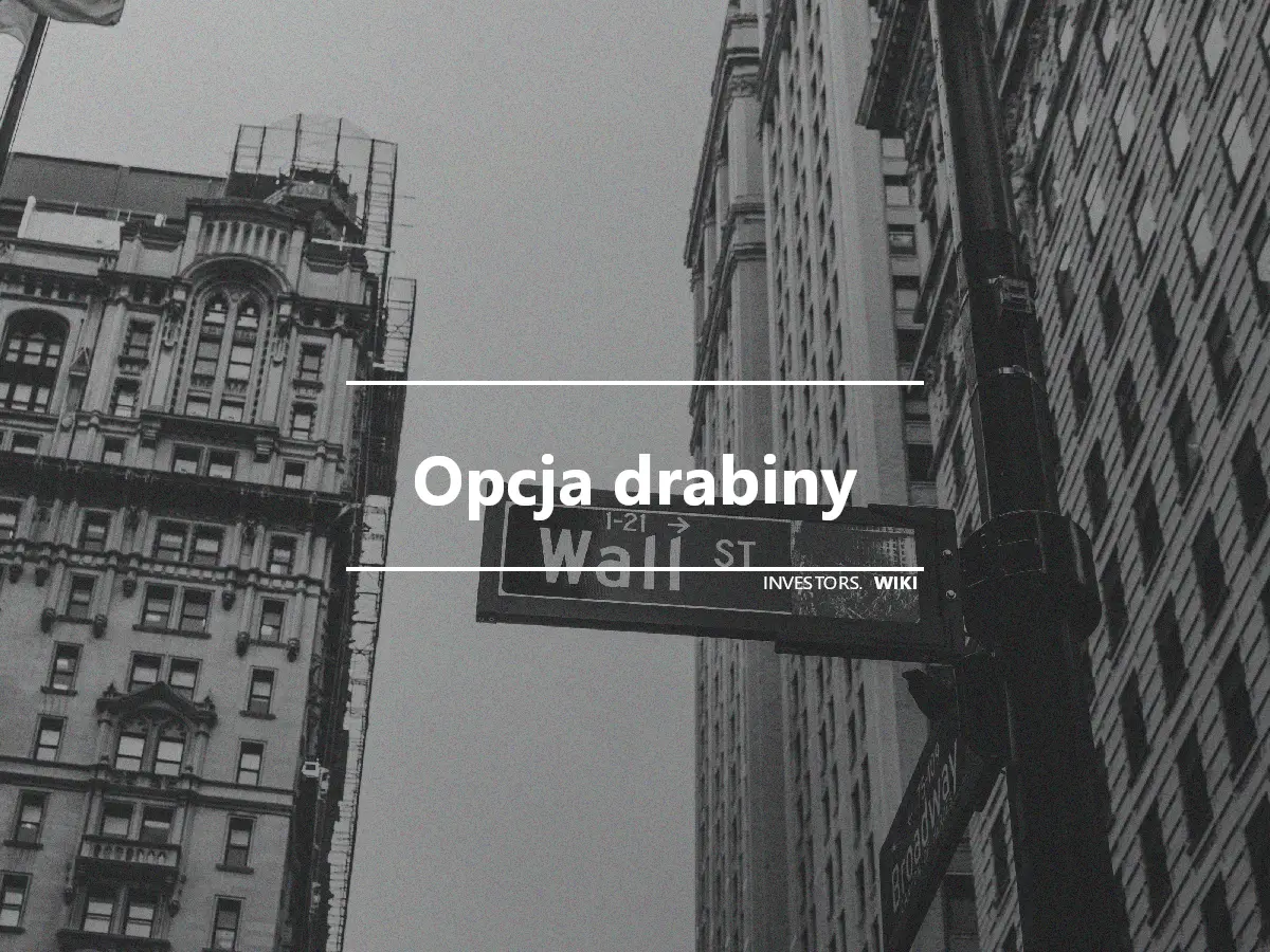 Opcja drabiny