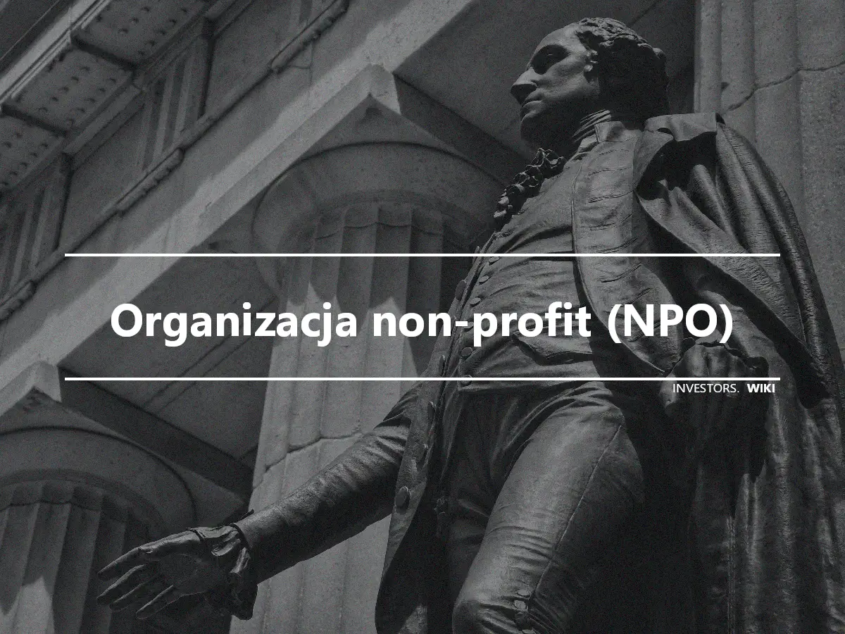 Organizacja non-profit (NPO)