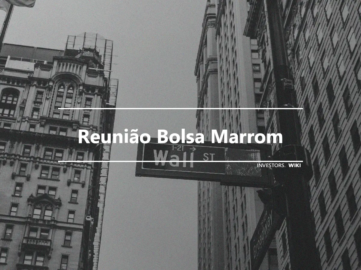 Reunião Bolsa Marrom