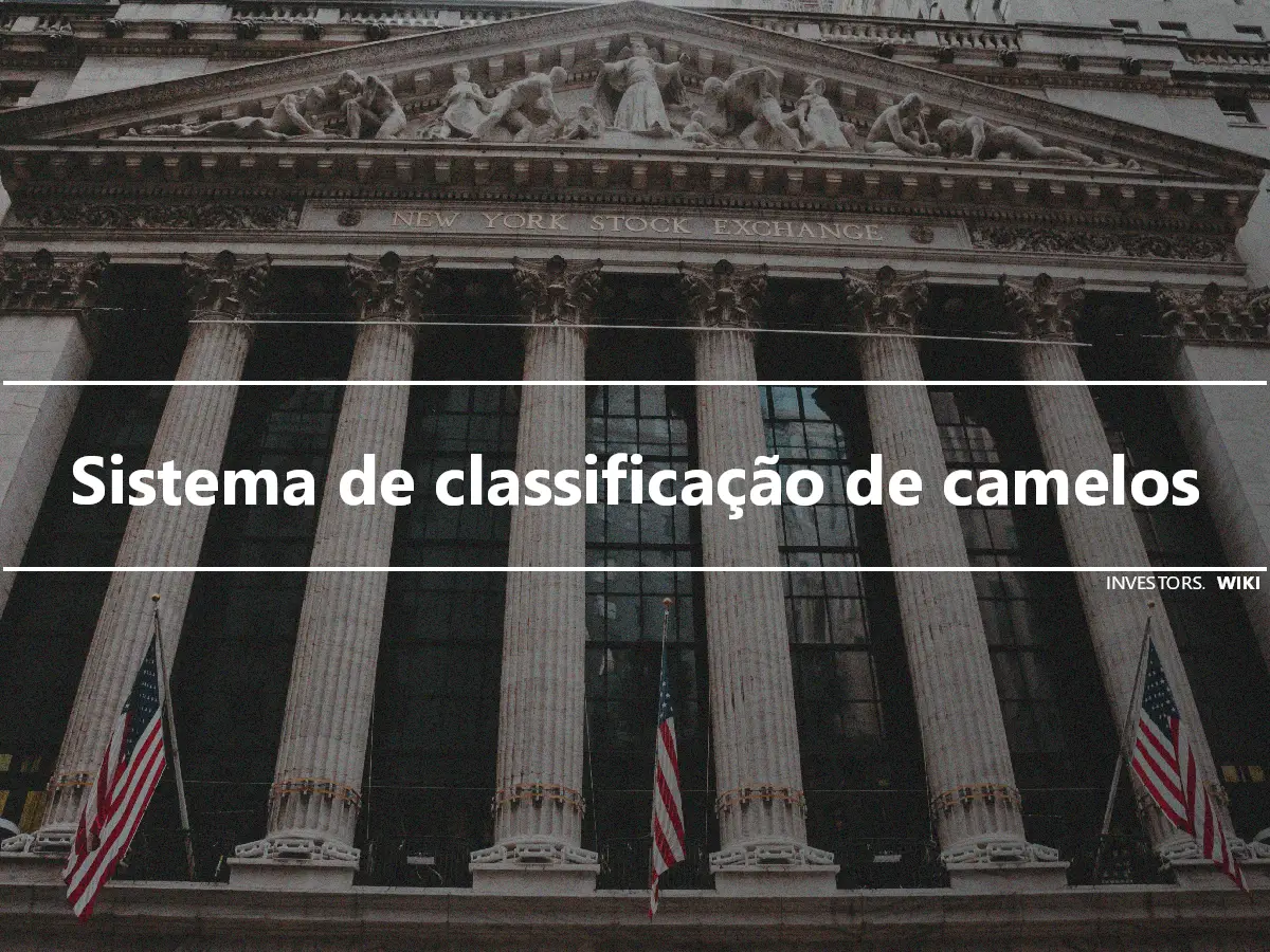 Sistema de classificação de camelos