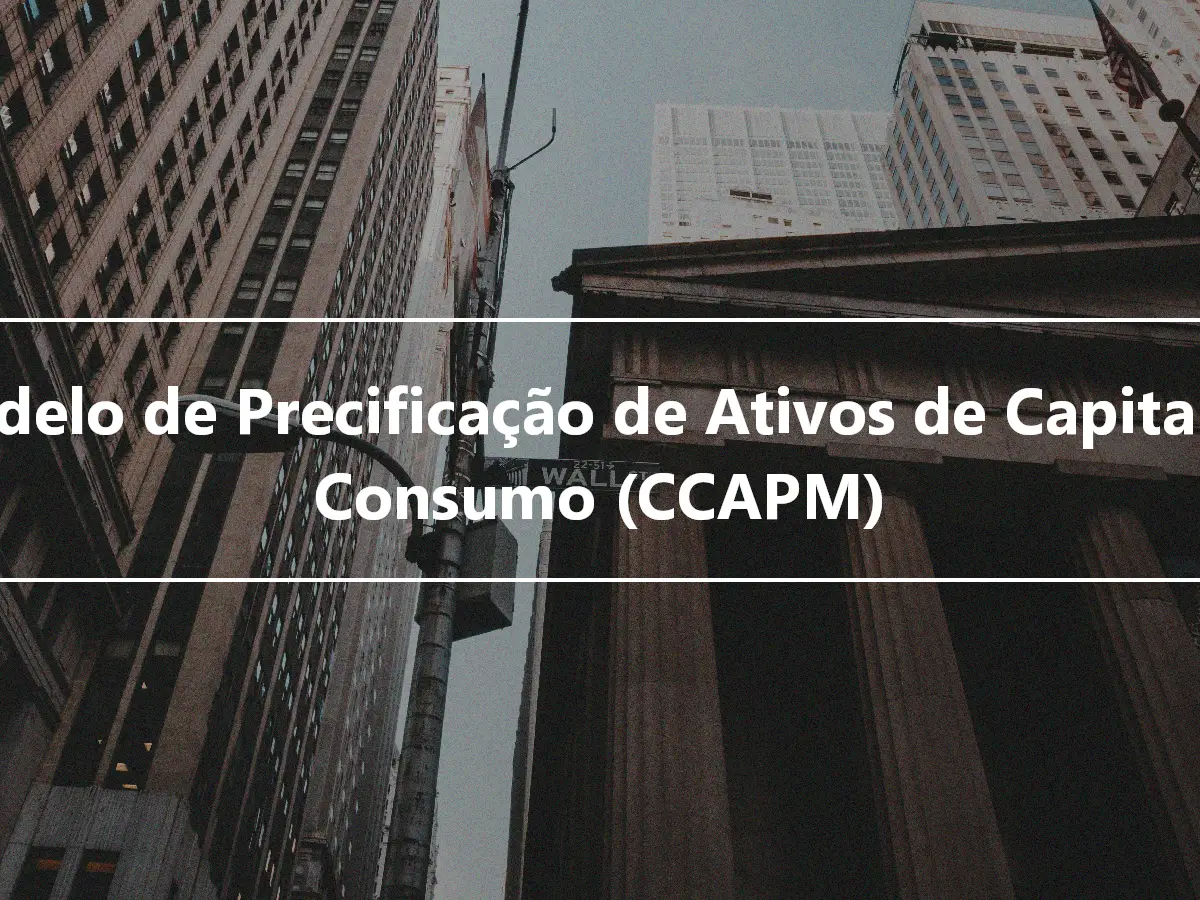 Modelo de Precificação de Ativos de Capital de Consumo (CCAPM)