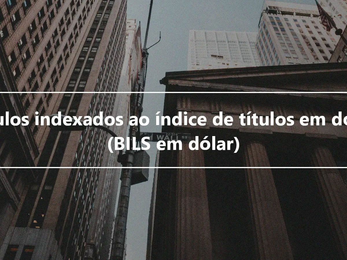 Títulos indexados ao índice de títulos em dólar (BILS em dólar)