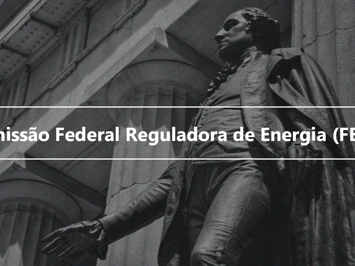 Comissão Federal Reguladora de Energia (FERC)