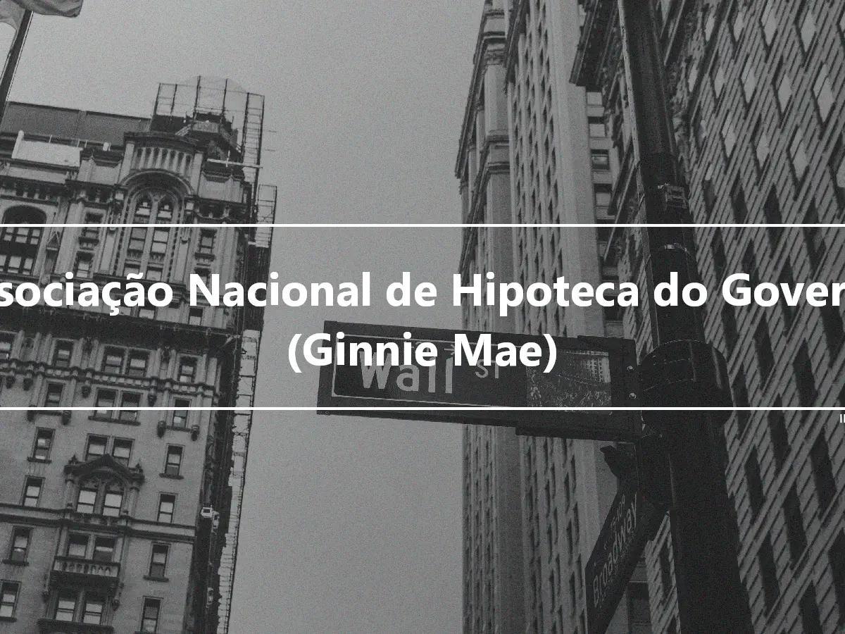 Associação Nacional de Hipoteca do Governo (Ginnie Mae)