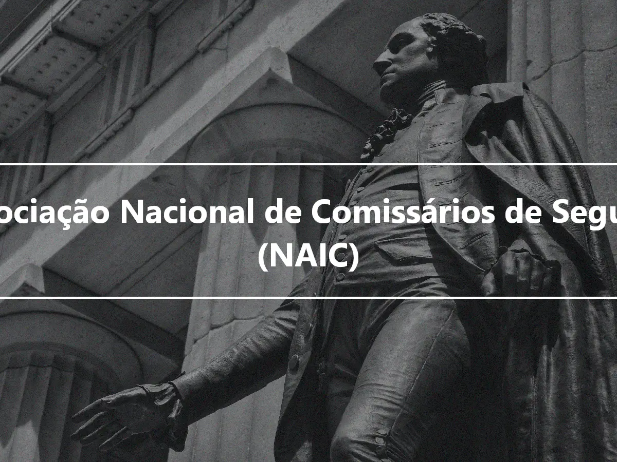 Associação Nacional de Comissários de Seguros (NAIC)