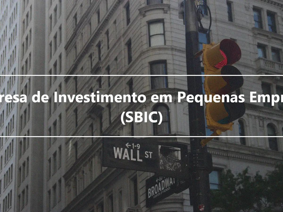 Empresa de Investimento em Pequenas Empresas (SBIC)