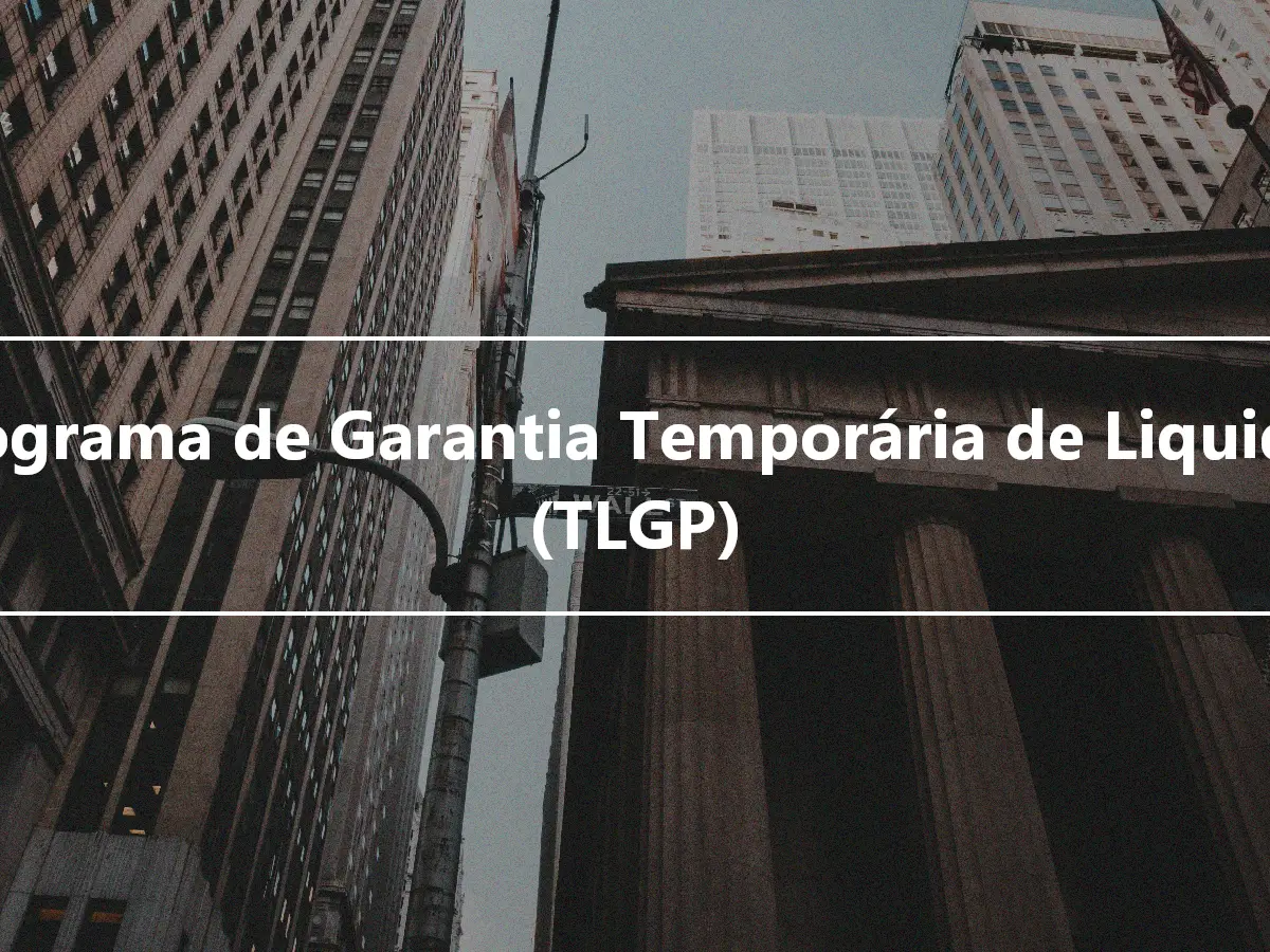 Programa de Garantia Temporária de Liquidez (TLGP)