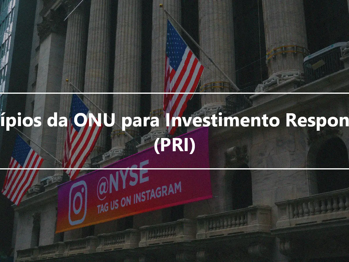 Princípios da ONU para Investimento Responsável (PRI)