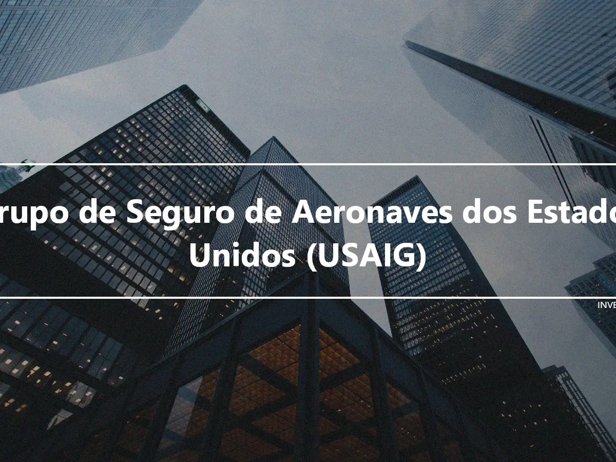 Grupo de Seguro de Aeronaves dos Estados Unidos (USAIG)