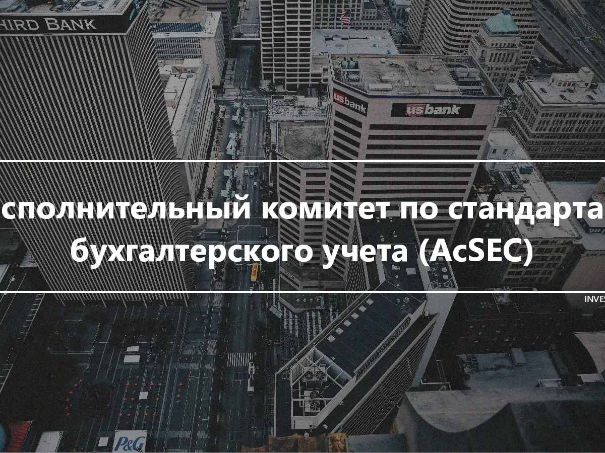 Исполнительный комитет по стандартам бухгалтерского учета (AcSEC)