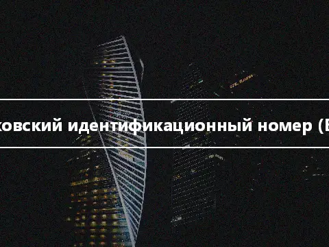 Банковский идентификационный номер (БИН)