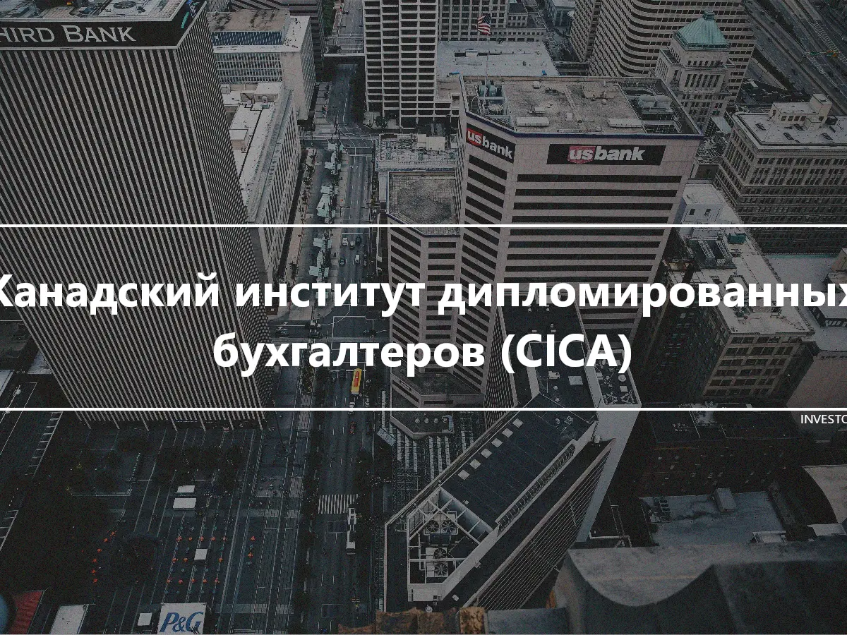 Канадский институт дипломированных бухгалтеров (CICA)