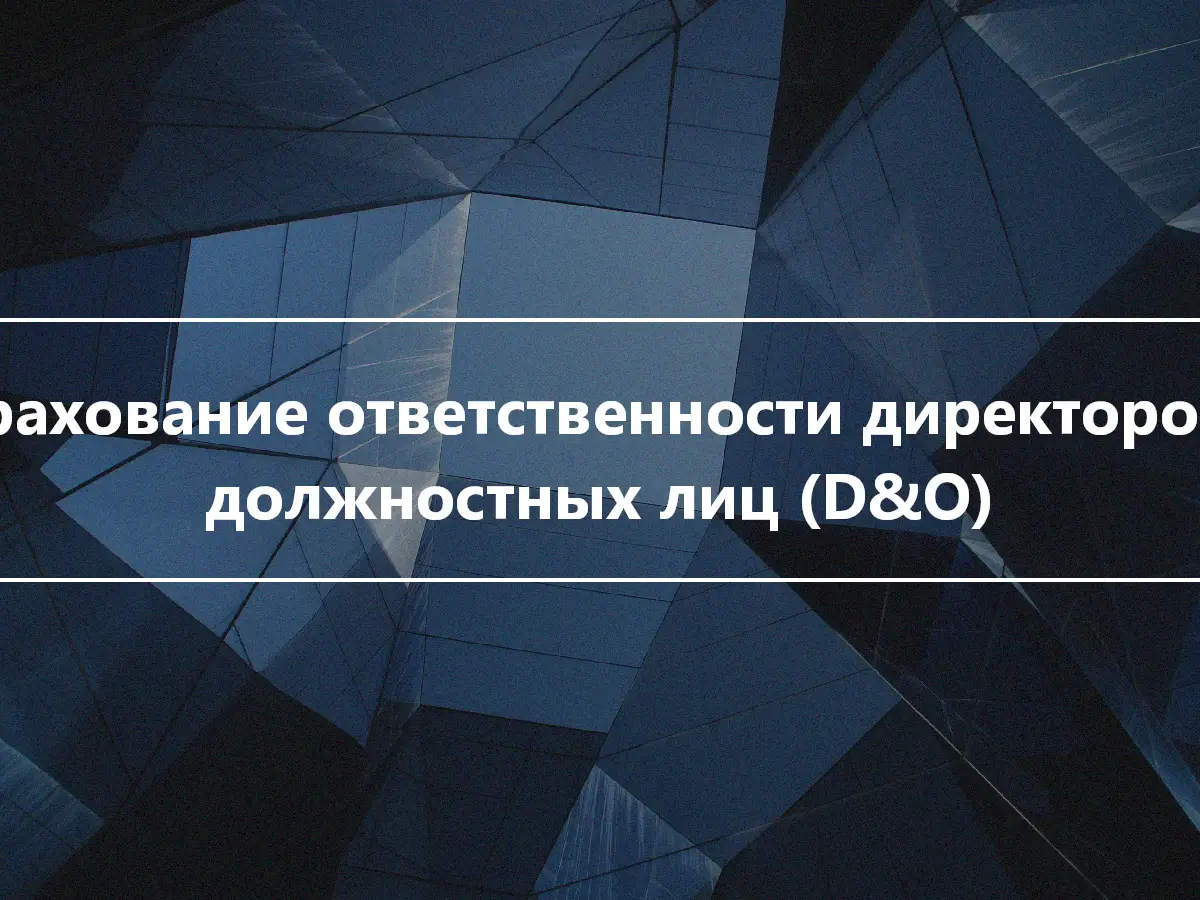 Страхование ответственности директоров и должностных лиц (D&O)