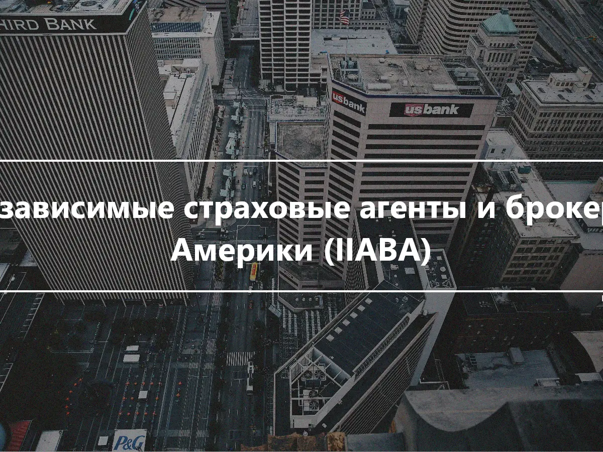 Независимые страховые агенты и брокеры Америки (IIABA)