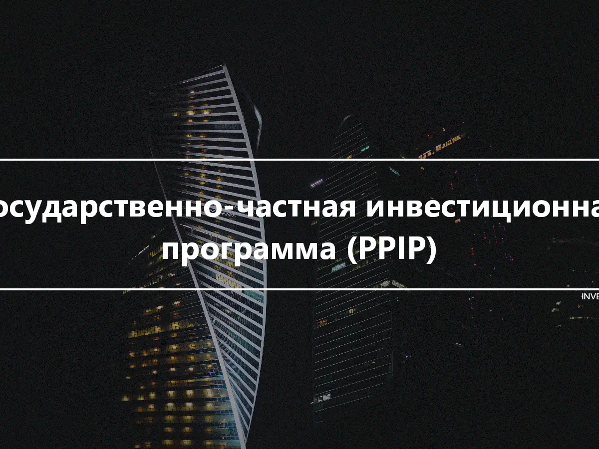 Государственно-частная инвестиционная программа (PPIP)