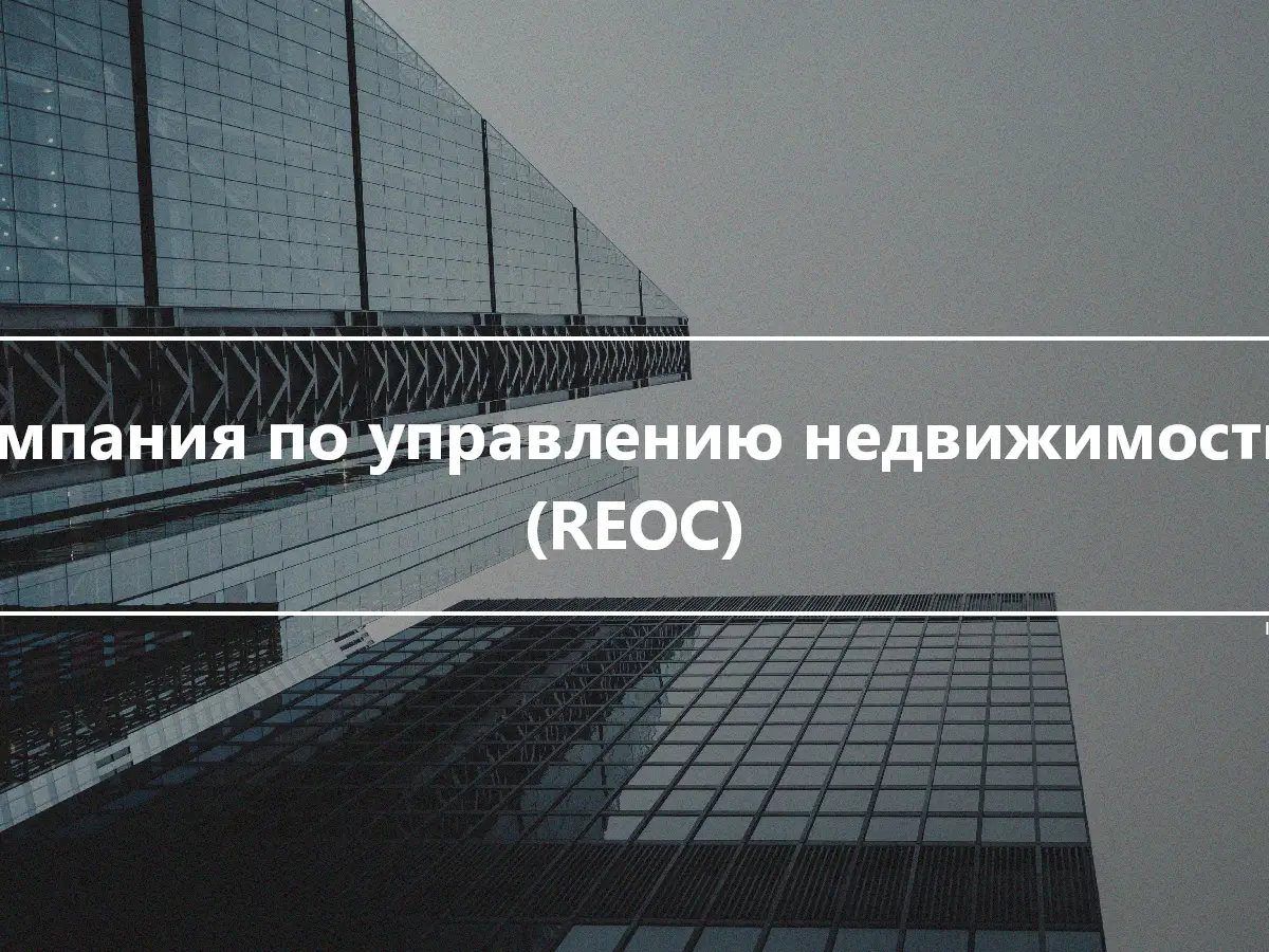Компания по управлению недвижимостью (REOC)