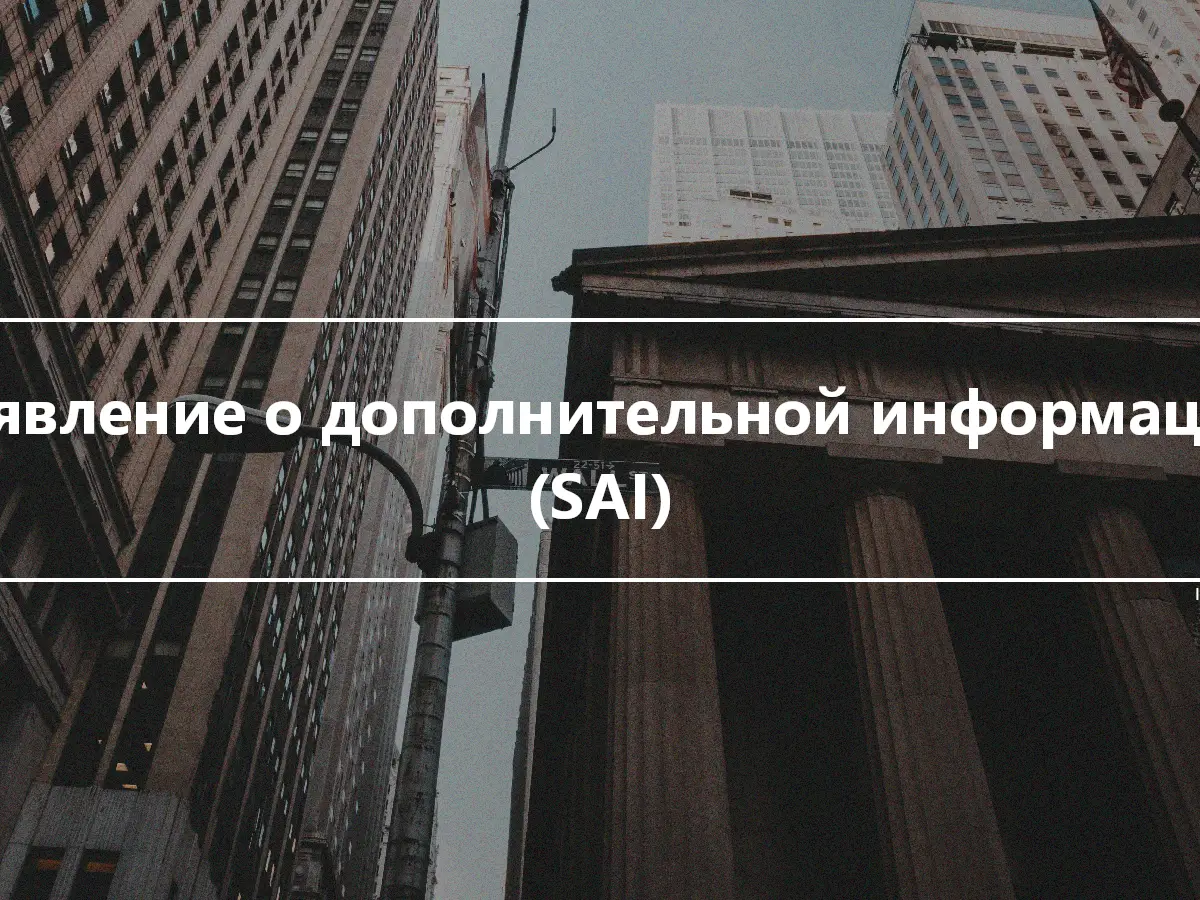 Заявление о дополнительной информации (SAI)