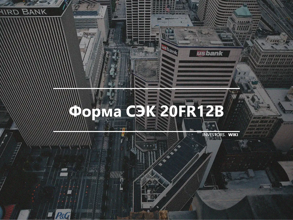 Форма СЭК 20FR12B