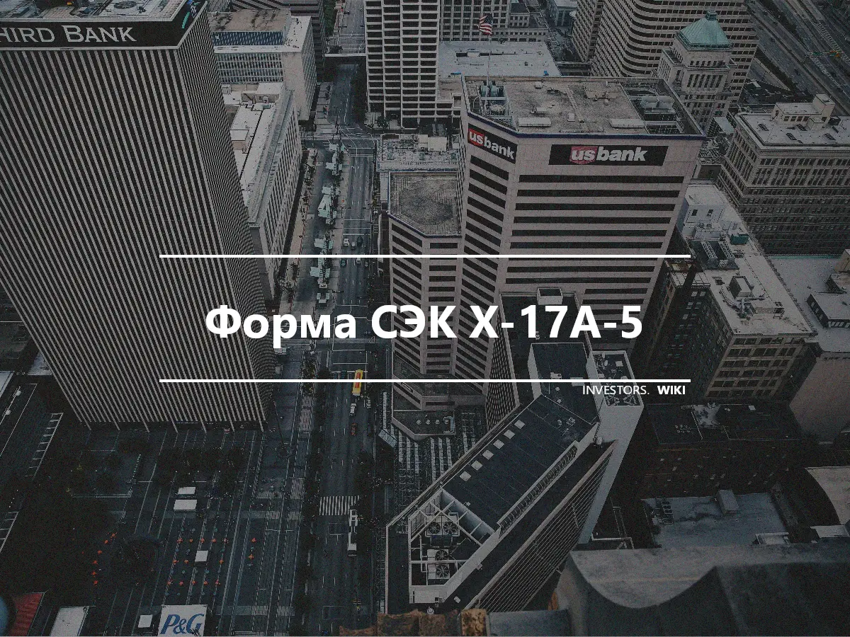 Форма СЭК X-17A-5