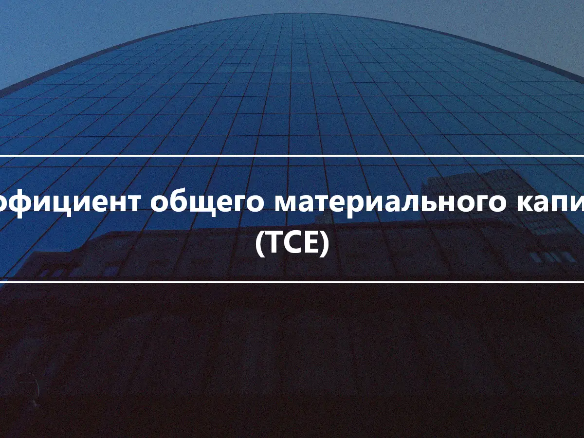 Коэффициент общего материального капитала (TCE)