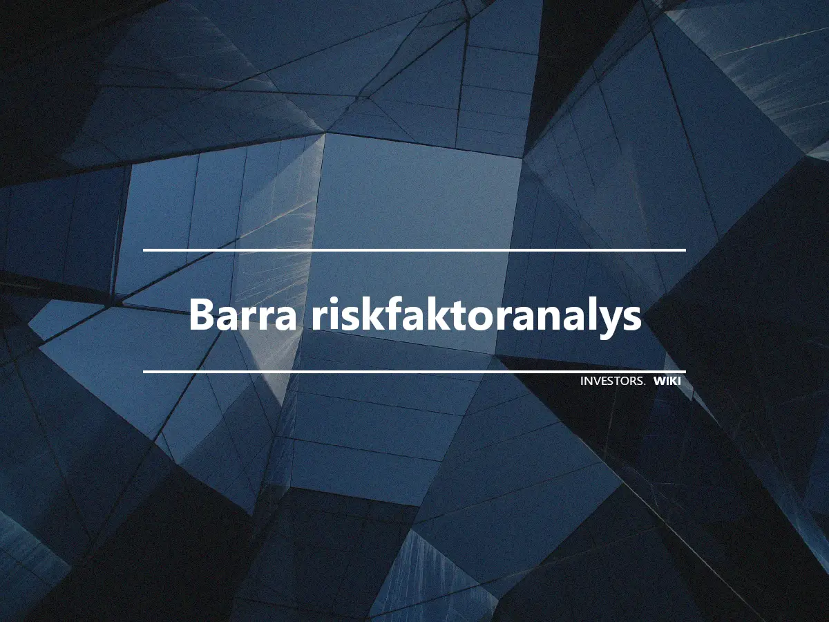 Barra riskfaktoranalys