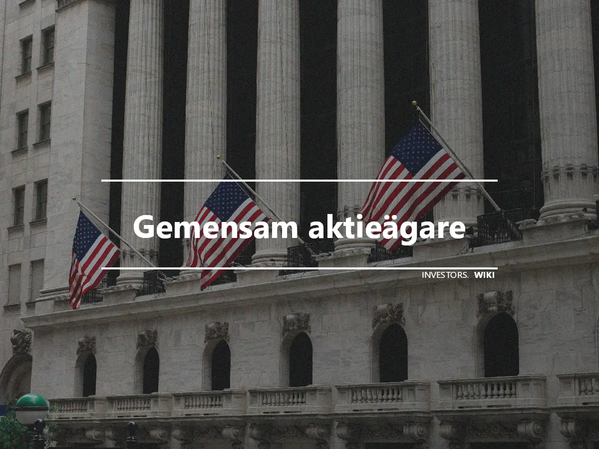 Gemensam aktieägare