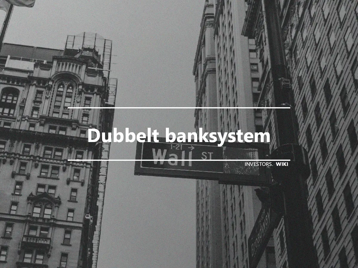 Dubbelt banksystem