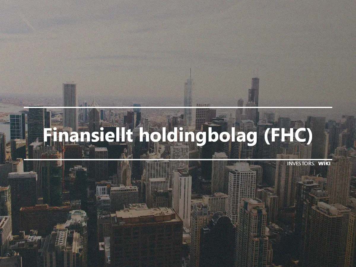 Finansiellt holdingbolag (FHC)