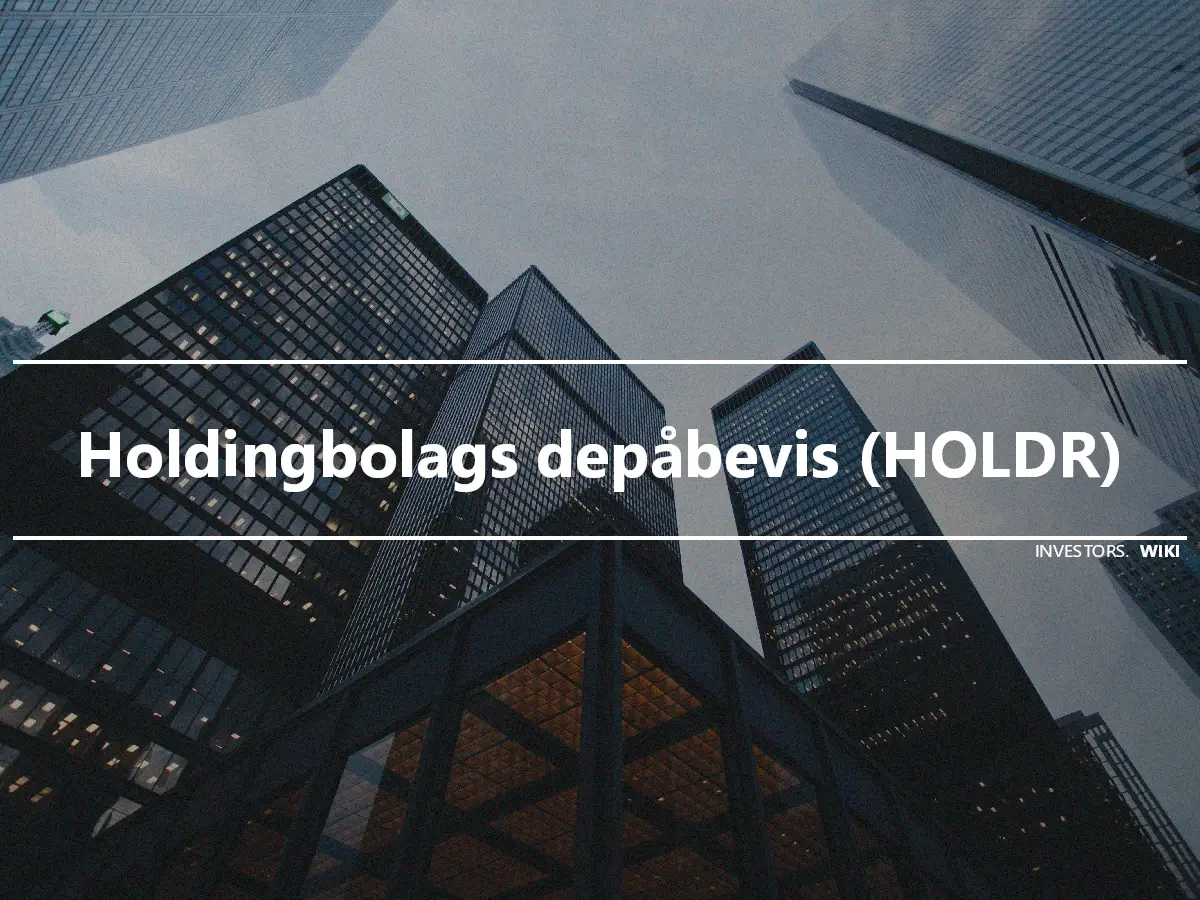 Holdingbolags depåbevis (HOLDR)