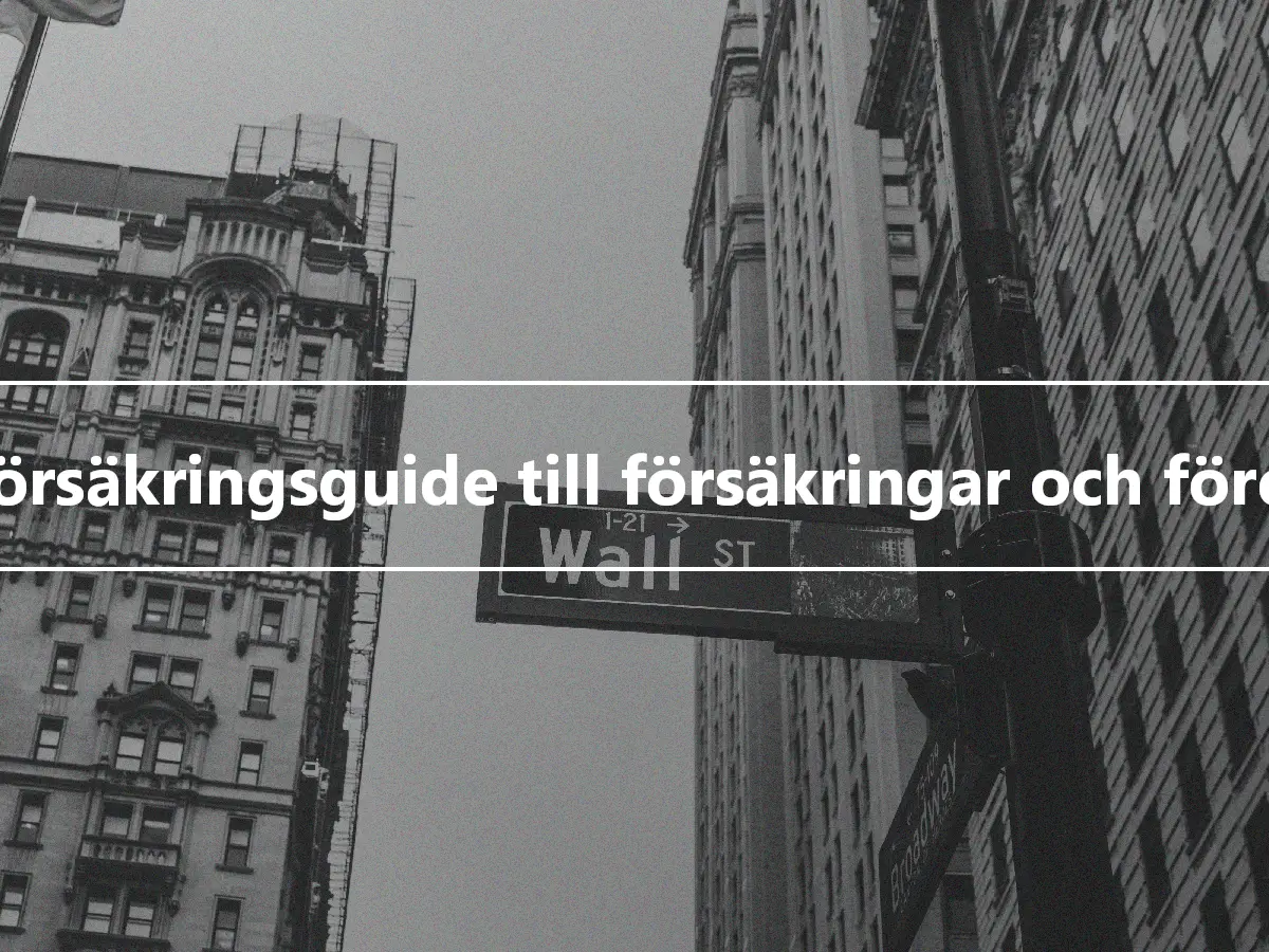 Livförsäkringsguide till försäkringar och företag