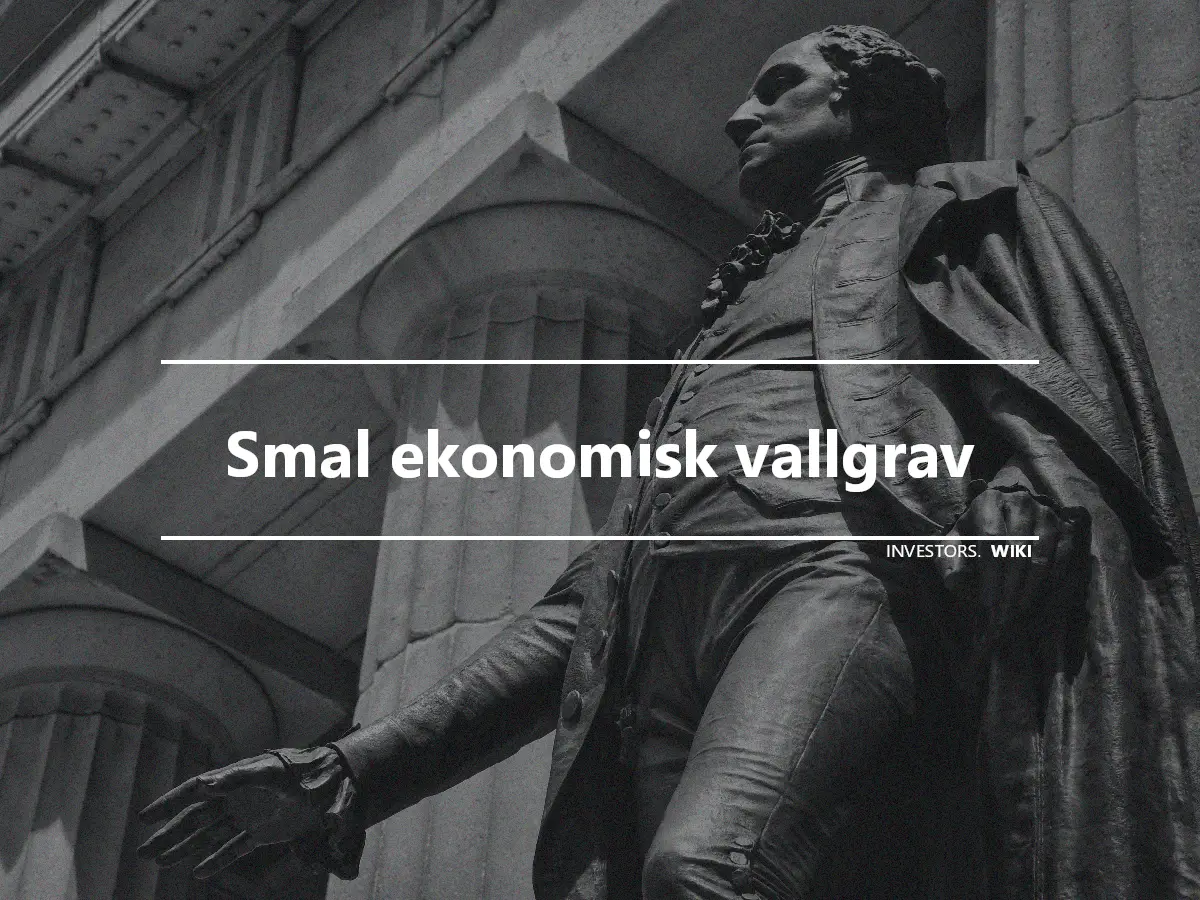 Smal ekonomisk vallgrav