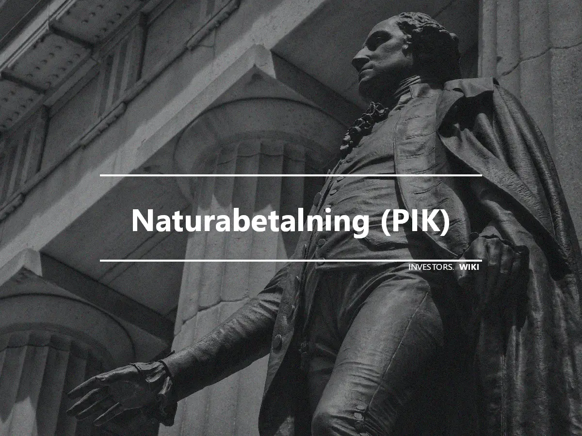 Naturabetalning (PIK)