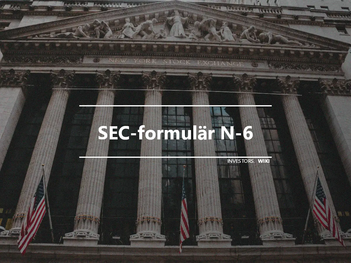SEC-formulär N-6