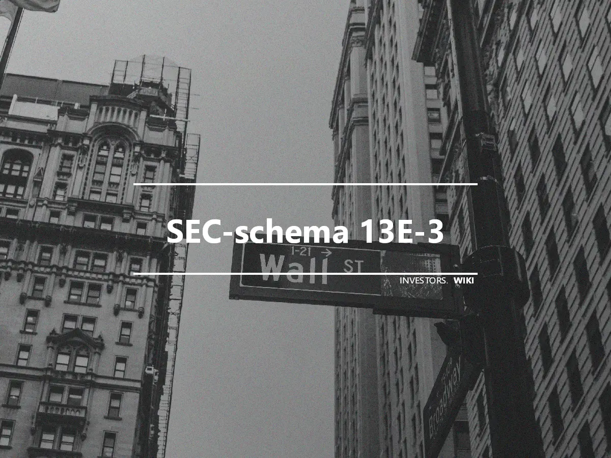 SEC-schema 13E-3