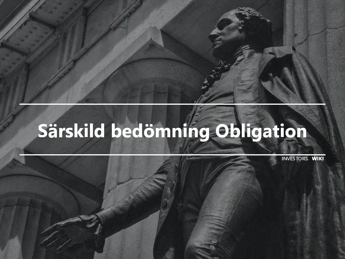 Särskild bedömning Obligation