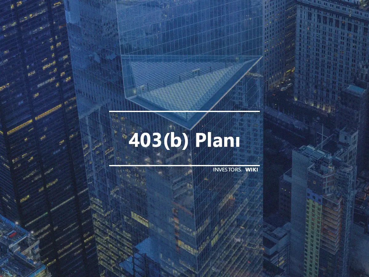 403(b) Planı