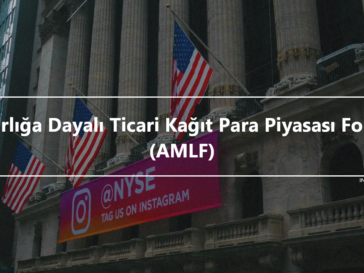 Varlığa Dayalı Ticari Kağıt Para Piyasası Fonu (AMLF)