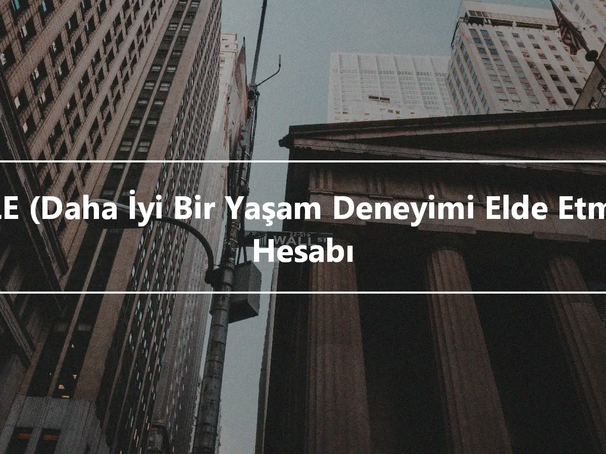 ABLE (Daha İyi Bir Yaşam Deneyimi Elde Etmek) Hesabı