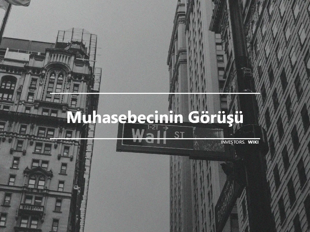 Muhasebecinin Görüşü