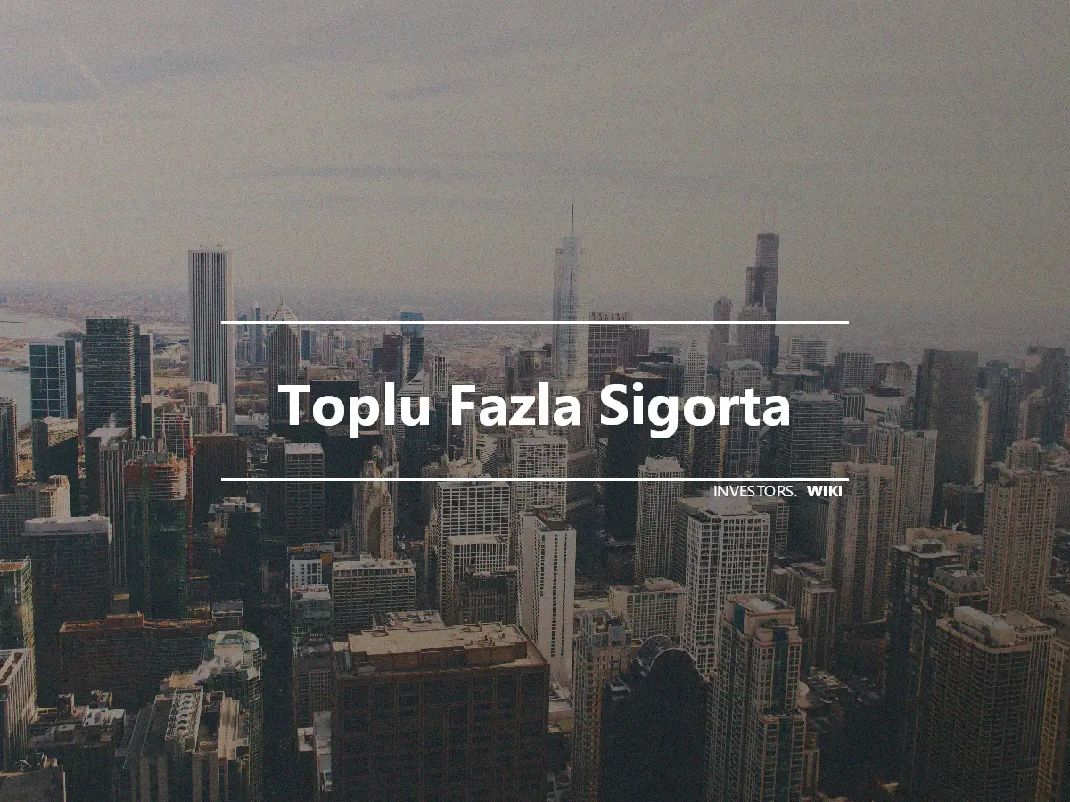 Toplu Fazla Sigorta