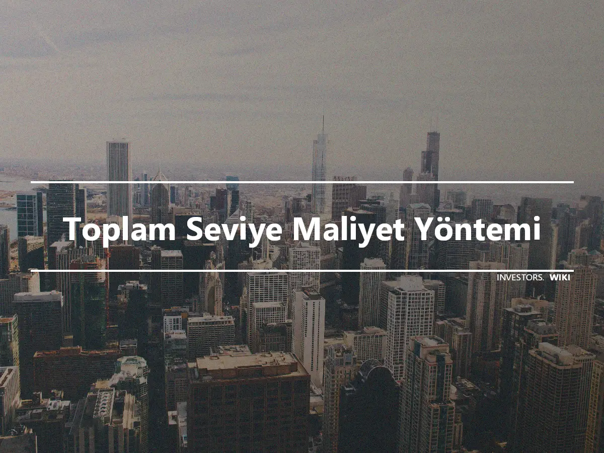 Toplam Seviye Maliyet Yöntemi