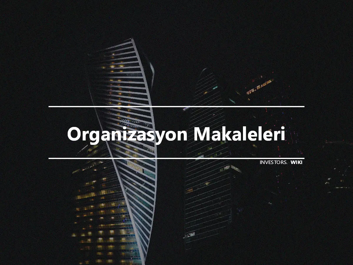 Organizasyon Makaleleri