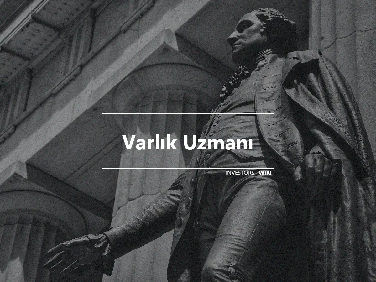 Varlık Uzmanı